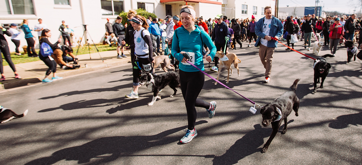 group of people and leashed dogs running on Rhoadmiller Street at the start of the Dog Jog