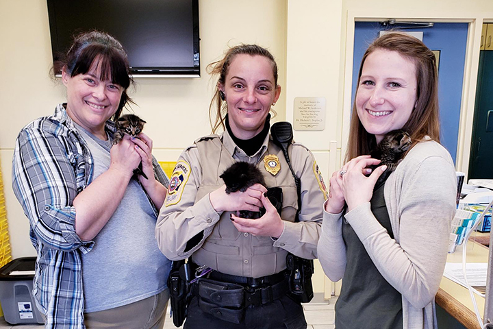 Bottle baby kittens transferred from Hopewell Animal Services