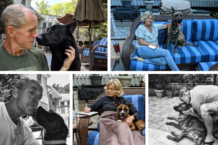 grid of five photos showing dogs fostered by Bill and Shawn Riester