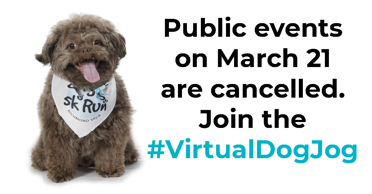 Public events on March 21 are cancelled. Join the #VirtualDogJog