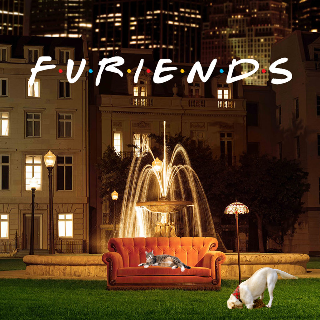 A cat lounges on the iconic orange "Friends" sofa positioned in front of a fountain. In the foreground, a dog digs on the lawn. Text overlay: "Furiends"