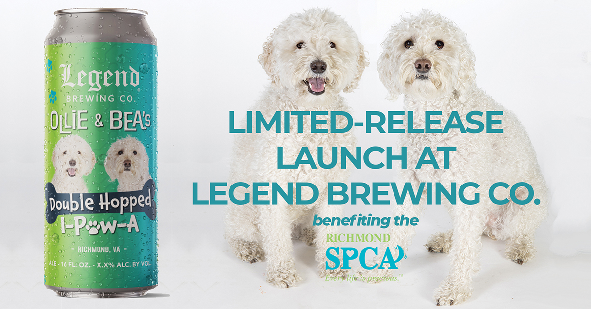 Graphic with beer can design on left. Can features two dogs, Ollie and Bea, on an ombre lime green and teal background. On right, a larger photo of the two large, white fluffy dogs is overlaid with teal block text: "Limited-release launch at Legend Brewing Co." Beneath the text is the Richmond SPCA's logo.