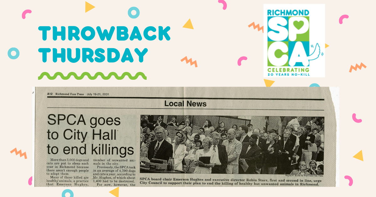 Throwback Thursday graphic with 2001 news story from Richmond Free Press
