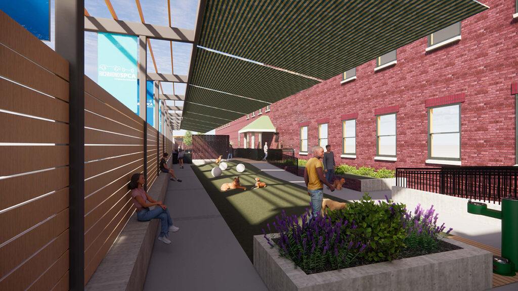 Architect's rendering of Barb's Run, shown from interior of one of the dog recreation spaces
