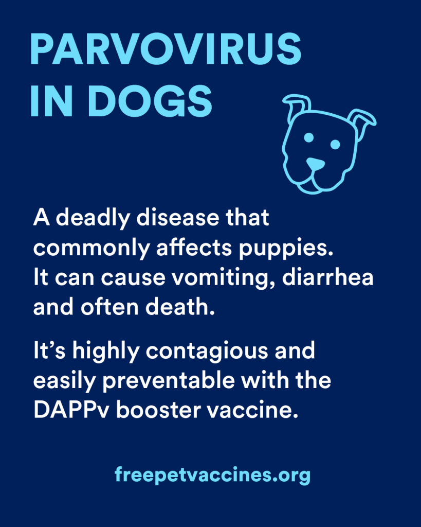 graphic with text: PARVOVIRUS IN DOGS

A deadly diseae that commonly affects puppies. It can cause vomiting, diarrhea and often death. It' highly contagious and easily preventable with the DAPPv booster vaccine.