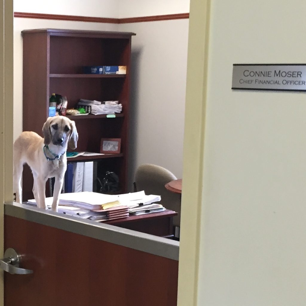 Summer standing on desk