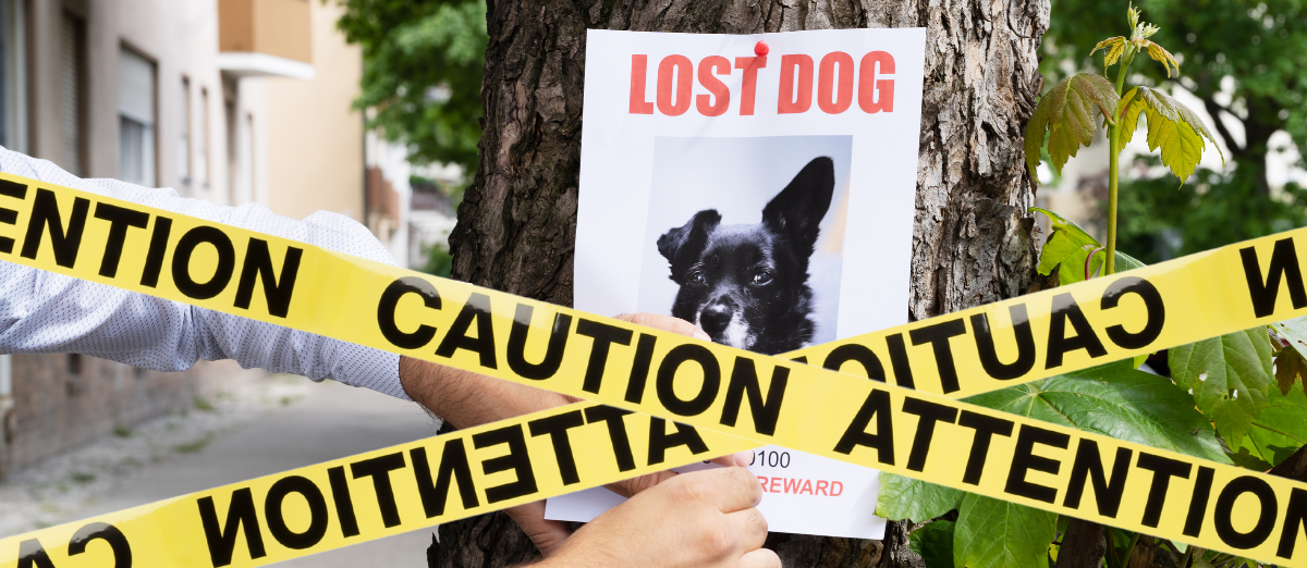 Public alert: Scam targeting pet owners using Richmond SPCA spoofed ...