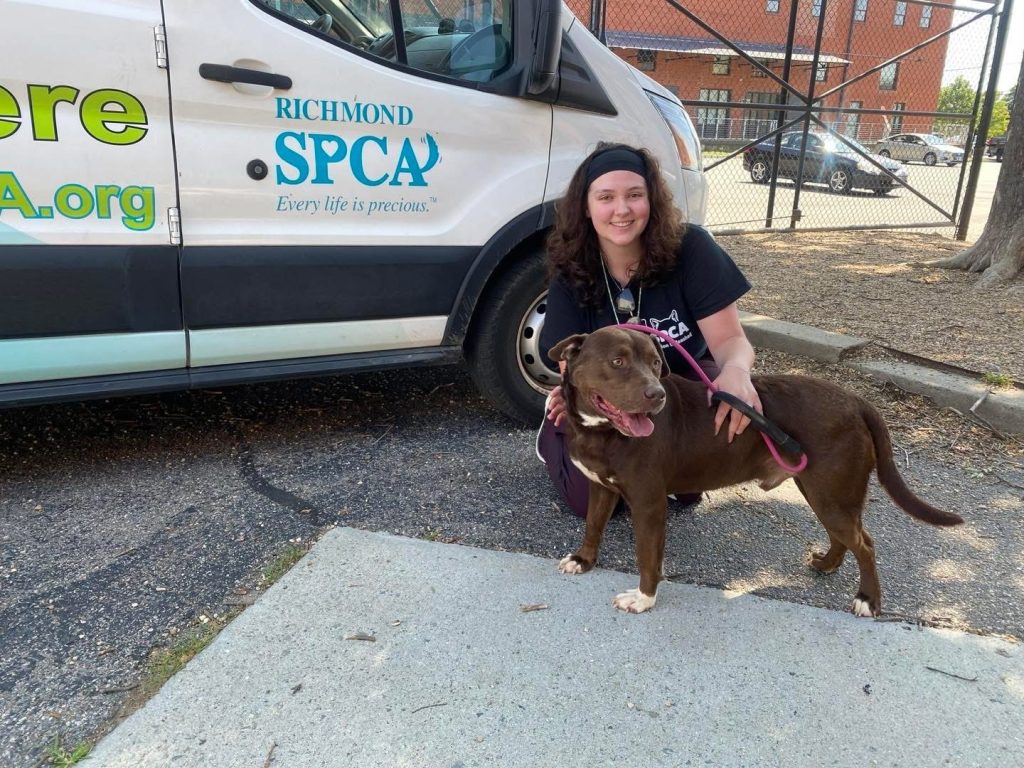 Person kneeling next to a Richmond SPCA van. She's smiling and her hands are resting on a happy-looking large, brown dog.