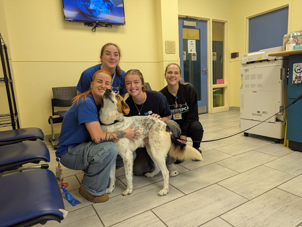 A group of four Pet Support staff surround a happy, speckled dog in the lobby of the Richmond SPCA's Pet Support Services.