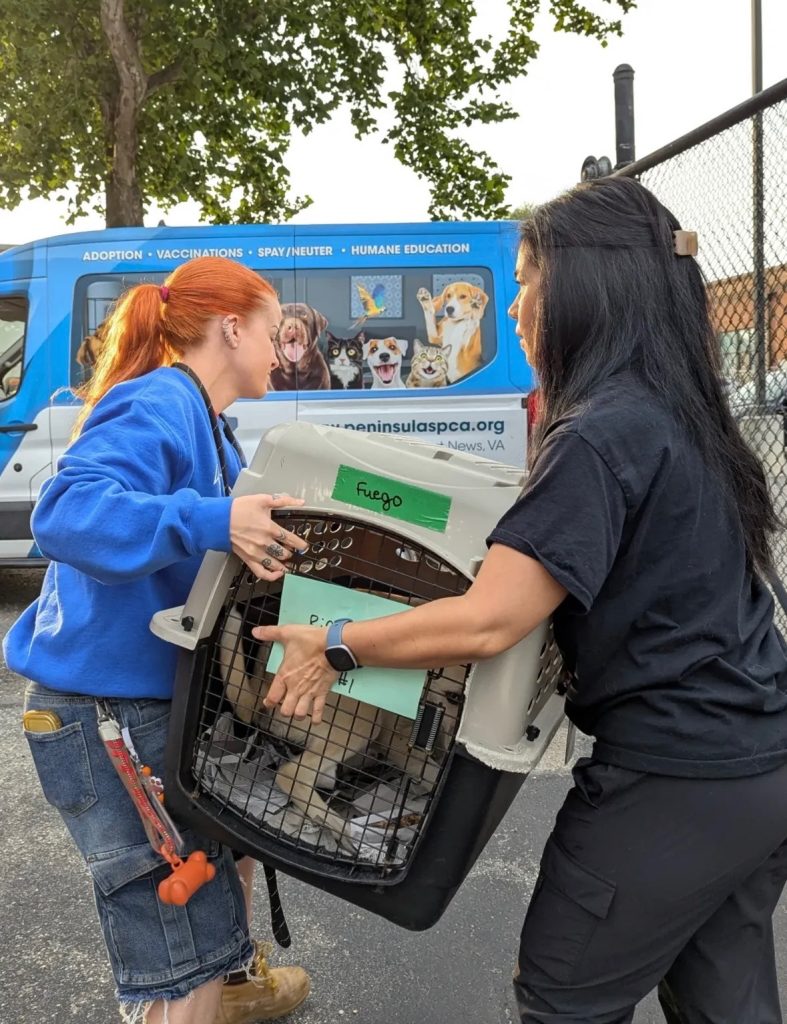 Two people carry an airline crate with a puppy inside. A piece of green tape marks the crate with the puppy's name, "Fuego."
