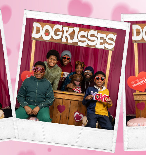 Dog Kissing Booth Event