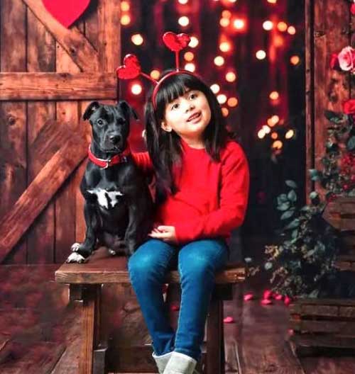 Fur-Ever Loved Photo Shoot