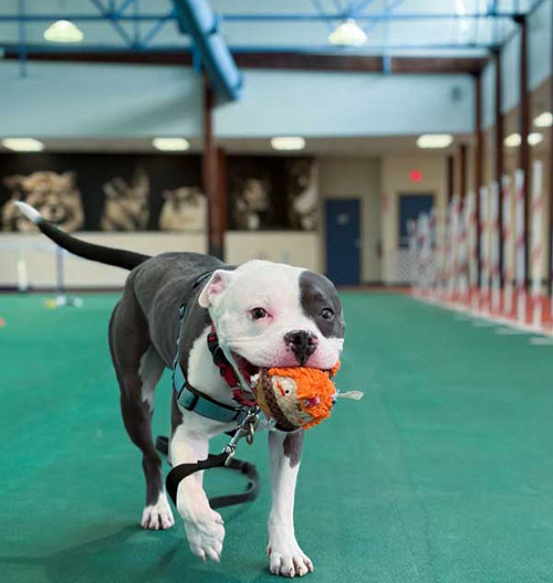 New Year, New Tricks!