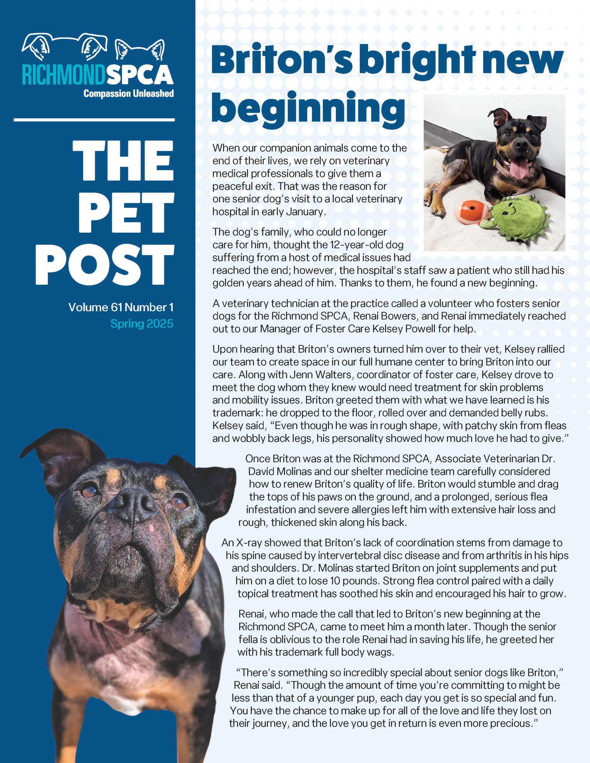 Pet Post Spring 2025