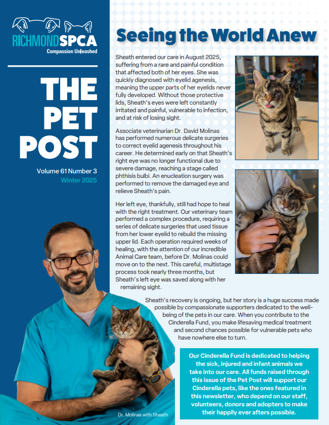 Pet Post Winter 2025