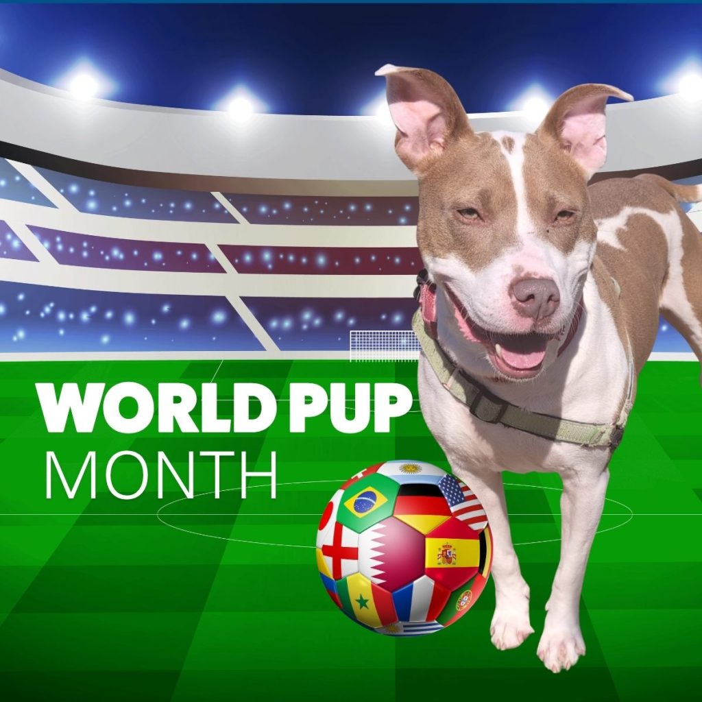World Pup Month