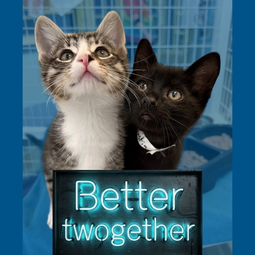 Better Twogether