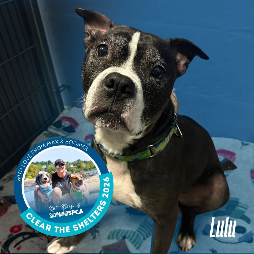 Clear The Shelters!