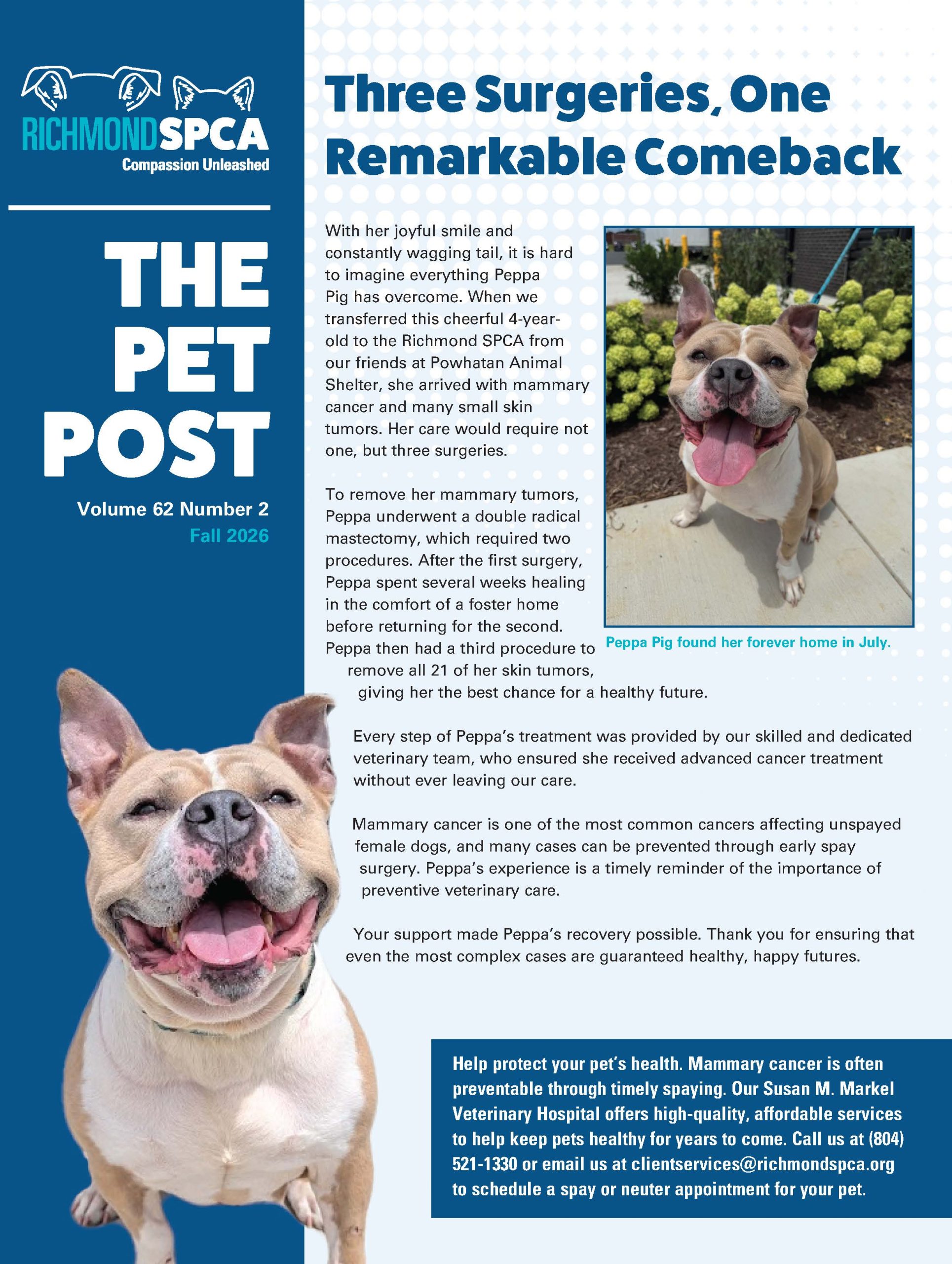 Pet Post Fall 2026