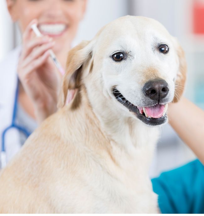 FREE VACCINE CLINIC